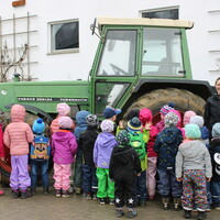 Besuch am Hansen - Bauernhof