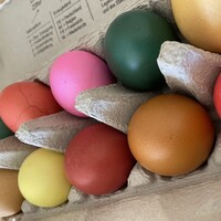 Osterfeier + Osternestsuche 